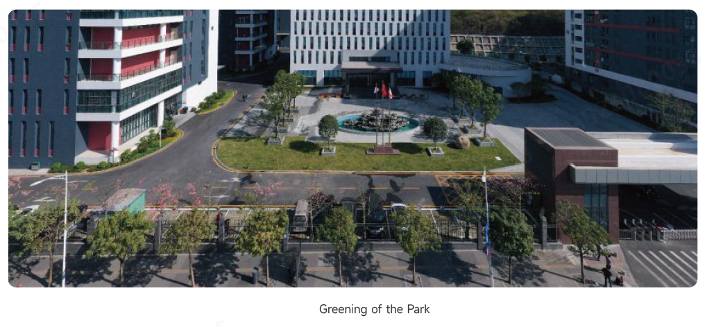 绿化.png 绿化.png